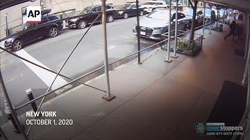 Actor Rick Moranis punched while on walk in NYC