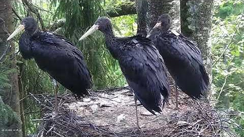 20210819 19:28 synchronized