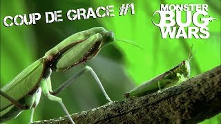 MONSTER BUG WARS | Coup De Grace Collection #1 by Monster Bug Wars - Official Channel 99,930 views 5 years ago 21 minutes