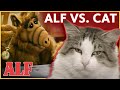 Alfs best cat meowments 