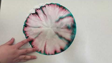 EGRHS Science Olympiad - Chromatography Flower Science Kit