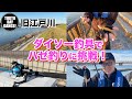 ほんとに釣れるの？？ダイソー釣具でハゼ釣りに挑戦！〜旧江戸川〜