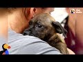Woman Rescues Puppy From Puerto Rico After Hurricane | The Dodo