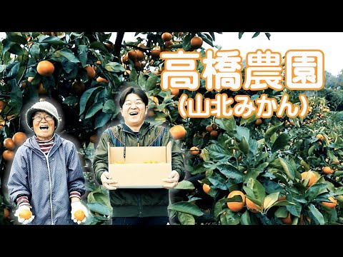 香南市ふるさと納税 高橋農園（山北みかん） - YouTube