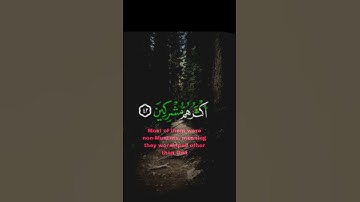 ماتيسر من سورة الروم القارئ فارس عباد