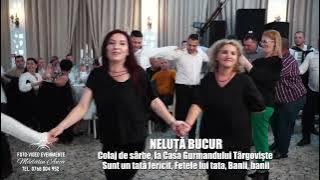 NELUȚĂ BUCUR - Sunt un tată fericit, Fetele lui tata, Banii, banii - Colaj de sârbe