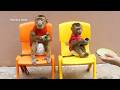 The Most Disciplined Baby Monkeys Ever! 🥰 Dodo &amp; Donal's Sweet Mango Snack Time