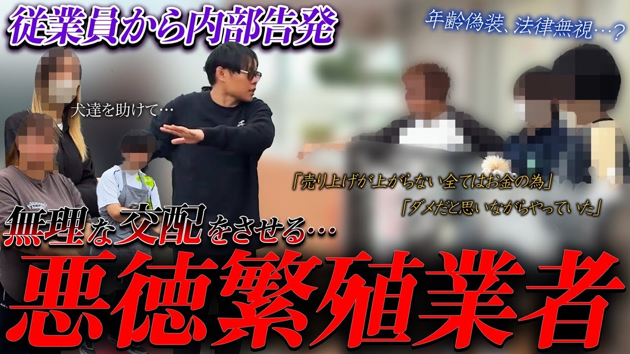 法律と倫理を無視する事が常識なのが繁殖業界。