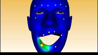 Easy Rigging of Face by Automatic Registration and Transfer of Skinning Parameters. screenshot 5