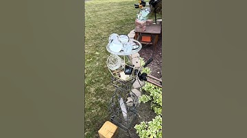 The Device Changes Configuration- Observed