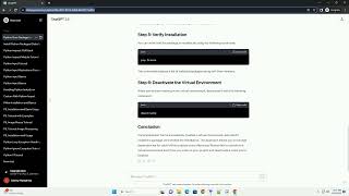 python install package virtual environment