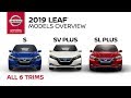 2019 Nissan LEAF Electric Car Walkaround & Review