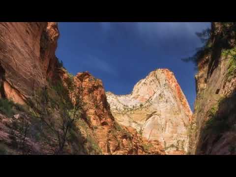 قصيدة بشامة بن الغدير هجرت أمامة هجرا طويلا