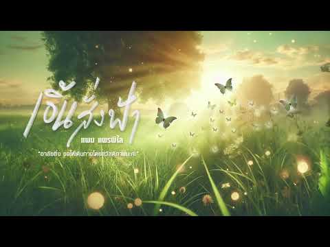 เอิ้นสั่งฟ้า - แพม แพรพิไล (Violin Version)