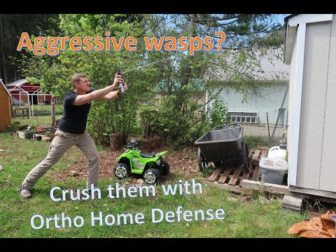 Video: Kui sageli rakendate Ortho Home Defense Maxi?