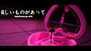 Video thumbnail of "Metal Paws - Hoshiimono ga atte M/V 『 メタルパーズ』"