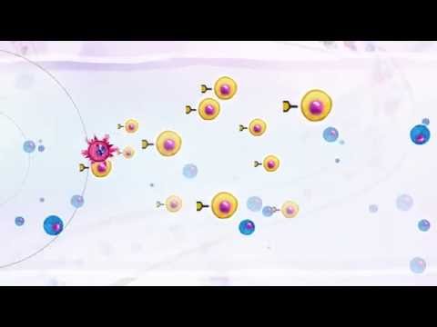 Vidéo: Isolement Du Récepteur Des Cellules T Spécifiquement Réactif Avec Les Cellules Tumorales Autologues Des Lymphocytes Infiltrant La Tumeur Et Construction De Cellules T Conçues Par L