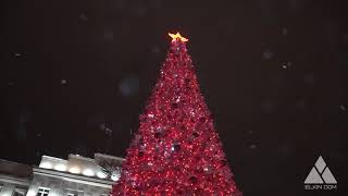 Центральная Ёлка. Оренбург. Ёлкин Дом | Central Christmas Tree. Orenburg. Elkin Dom