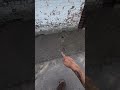 Мой первый газон🤪😅