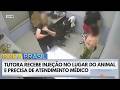 Tutora recebe injeção no lugar de animal e precisa de atendimento médico | Bora Brasil