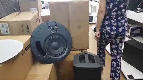 Loa Bose âm trần DM5C & DM8C-Sub LH: 0934684858