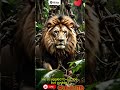 "The Lion and the Mouse" in English حكاية قصيرة على شكل خرافة (fable)