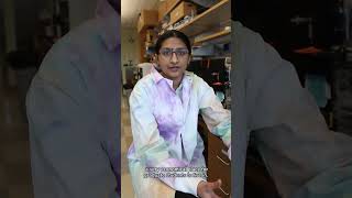 My Buckeye Why: Graduate Student Poornima Ramesh Iyer