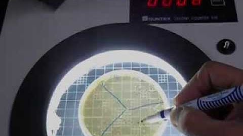 使用菌落計數器-2 (Colony counter-2)