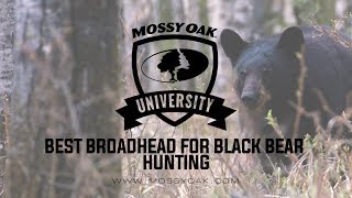 Best Broadhead For Black Bear Hunting