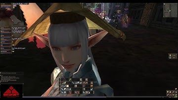 Lineage 2 Classic NA - Giran - SKYNET - First Days |  SWS