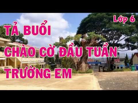 Tả buổi chào cờ đầu tuần trường em |Tập làm văn lớp 6|