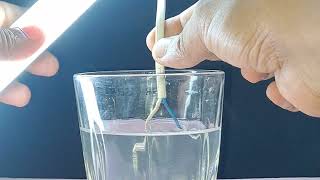 Science experiment || Easy science experiment || Easy science experiment at home