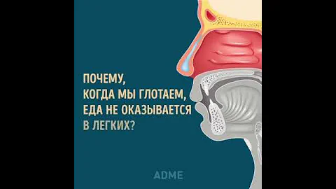 Почему еда не оказывается в легких!