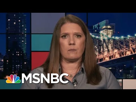 Mary Trump: Trump’s Re-Election Would ‘Be The End Of The American Experiment’ - Day That Was | MSNBC