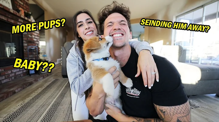 We Can't Keep Him... (Answering Your Questions)