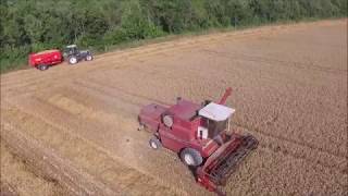 Moisson 2018 Drone DJI Phantom 3 ;)Case IH 933