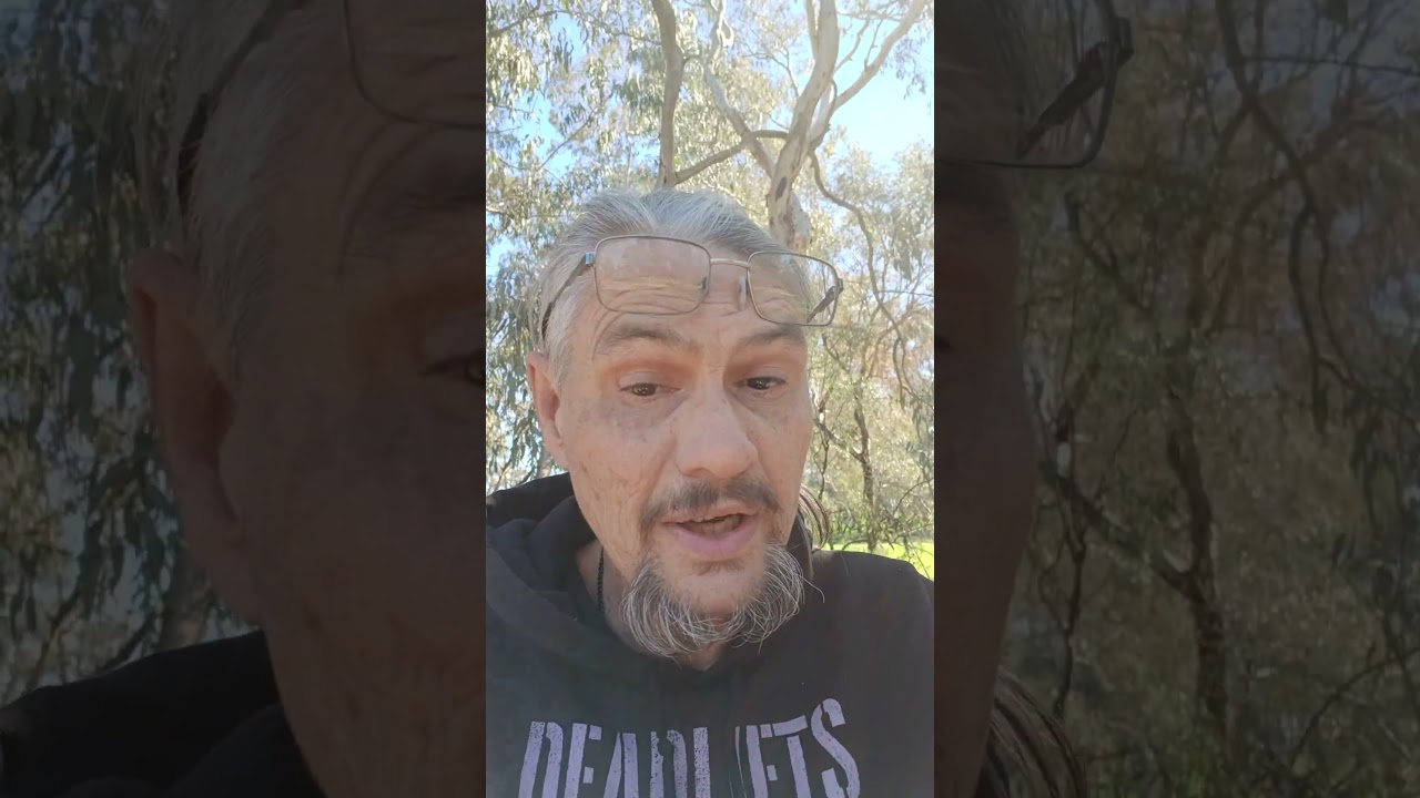 Yowie predator tree blind.