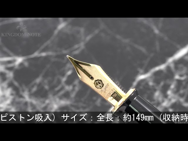 WAHL EVERSHARP エバーシャープ 万年筆 デコバンド ヴィンテージ