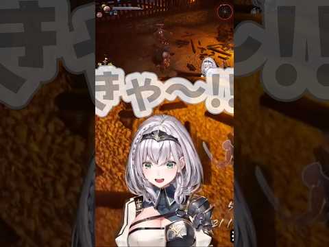 【白銀ノエル／ホロライブ】アイドル引退レベルの叫びを反省した直後、再び絶叫する完璧なフラグ回収する団長ww #白銀ノエル #ホロライブ #vtuber #切り抜き