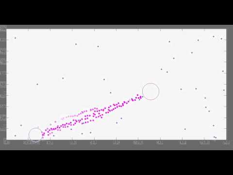 Ant simulation in Matlab - YouTube