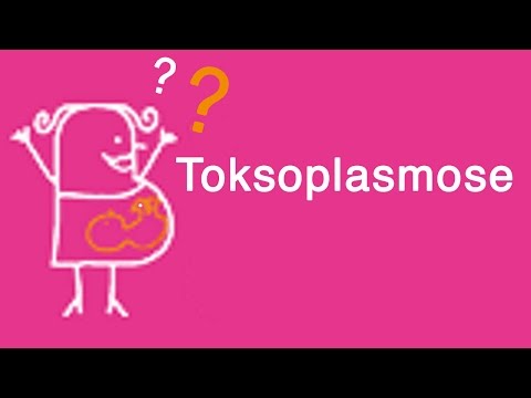 Video: Hva Er Toksoplasmose