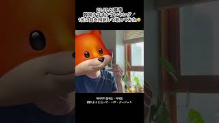 韓国カラオケ1位の曲~別れようと言って(日本語ver.)