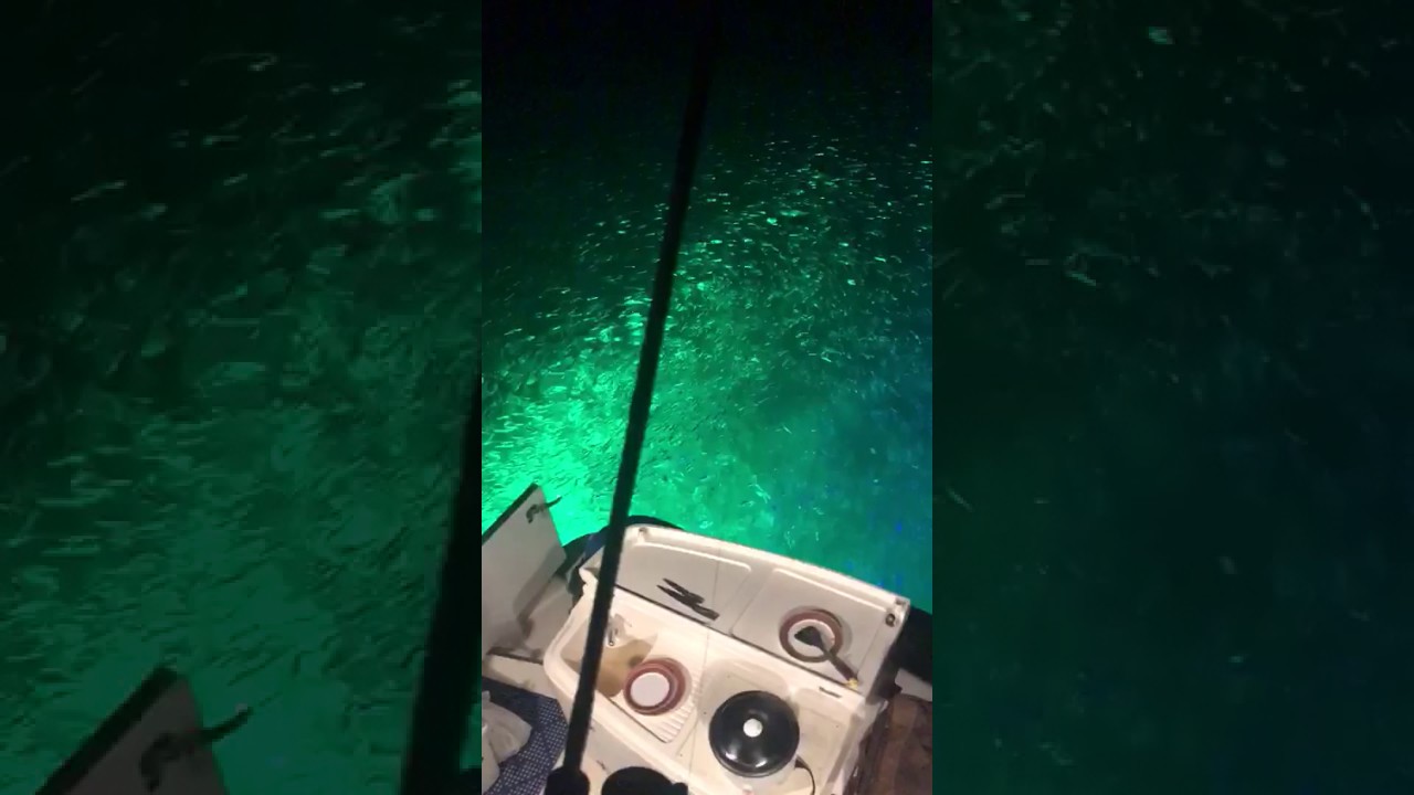 Use led underwater green fishing light to catch fishes. YouTube