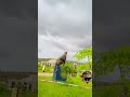 Shabeley Resort #love #travel #futurebuildai #memes #aicreator #robot #motivation #animation