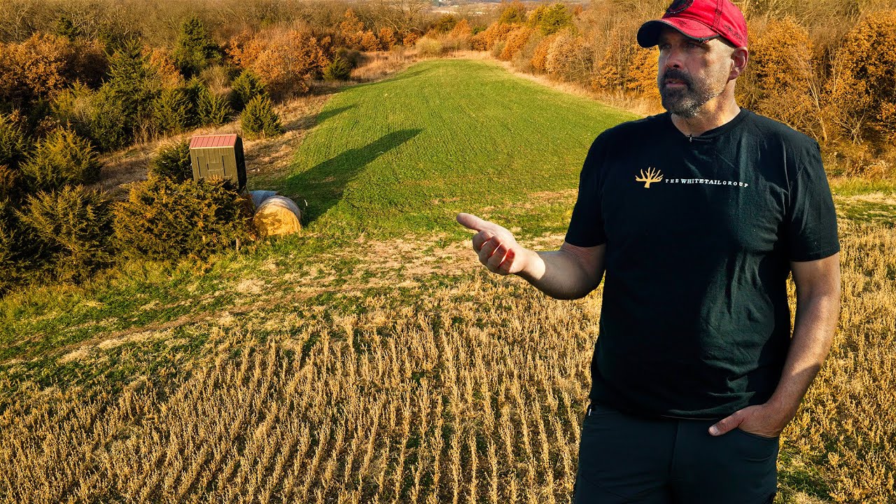 Вырастит ли эта ферма в Айове оленей длиной 200 дюймов? | Стратегия охоты: объяснение