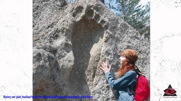 Mystery over ‘giant, fossilised footprint of web toed beast’ discovered embedded in rock in