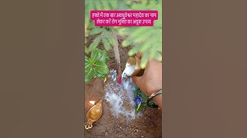 हपते में एक बार अवधुतेश्वर महादेव का नाम लेकर रोग मुक्ति का अचूक उपाय #pradeepmishrakeupay #mahadev