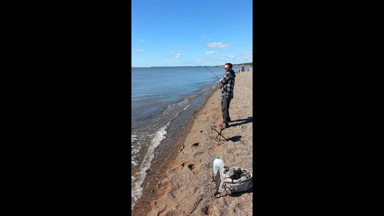 32 in Nova Scotia striped bass YouTube