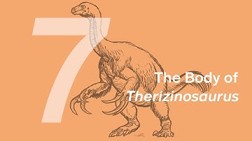 Qingge the Therizinosaurus 7: The Body | Learn to Draw Dinosaurs with ZHAO Chuang