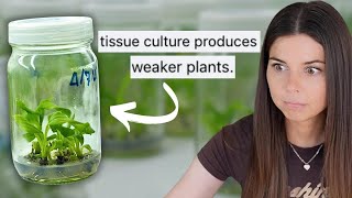 The TRUTH about Tissue Culture